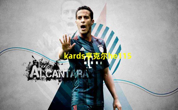 kards亨克尔he115