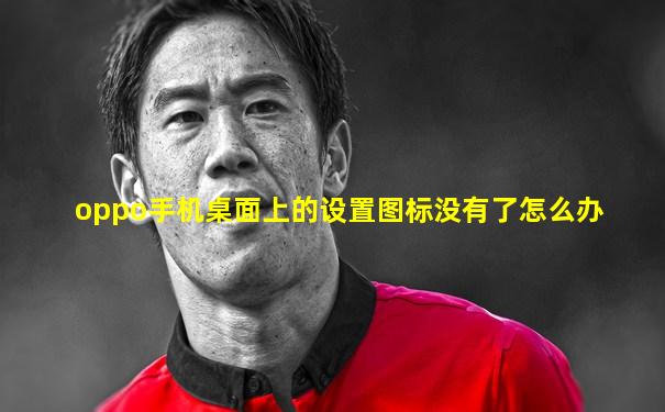 oppo手机桌面上的设置图标没有了怎么办