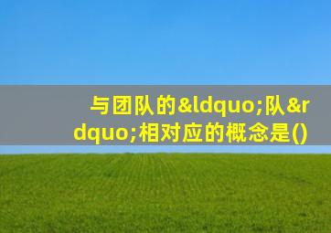 与团队的“队”相对应的概念是()