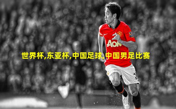 世界杯,东亚杯,中国足球,中国男足比赛