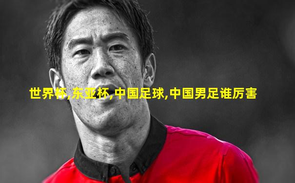 世界杯,东亚杯,中国足球,中国男足谁厉害