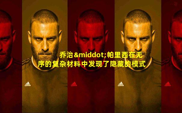 乔治·帕里西在无序的复杂材料中发现了隐藏的模式