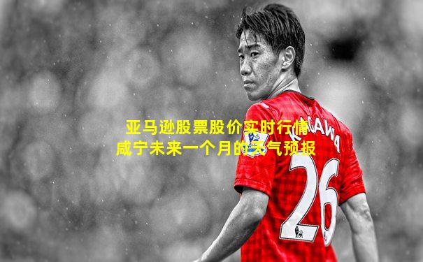 亚马逊股票股价实时行情咸宁未来一个月的天气预报