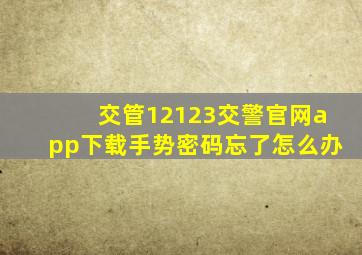 交管12123交警官网app下载手势密码忘了怎么办