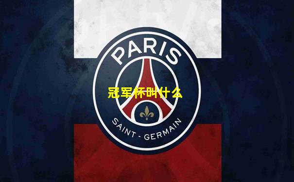 冠军杯叫什么