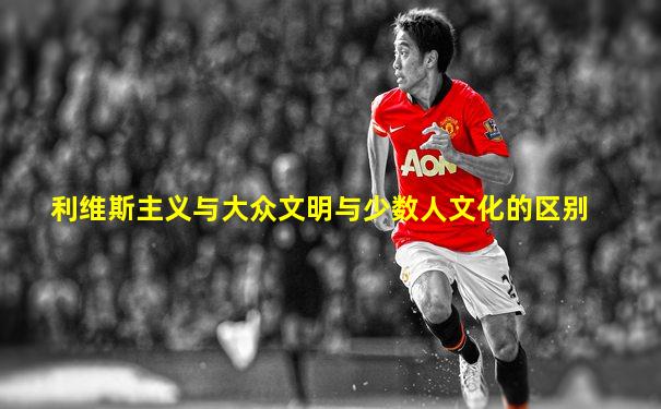利维斯主义与大众文明与少数人文化的区别