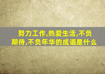 努力工作,热爱生活,不负期待,不负年华的成语是什么