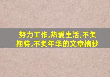 努力工作,热爱生活,不负期待,不负年华的文章摘抄