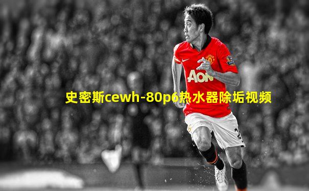 史密斯cewh-80p6热水器除垢视频