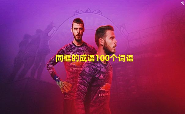 同框的成语100个词语