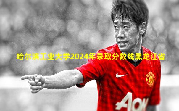 哈尔滨工业大学2024年录取分数线黑龙江省