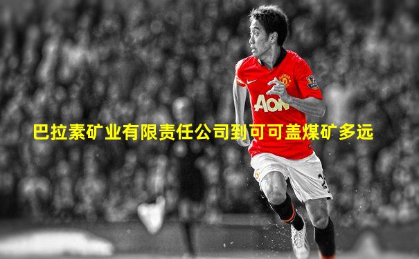 巴拉素矿业有限责任公司到可可盖煤矿多远