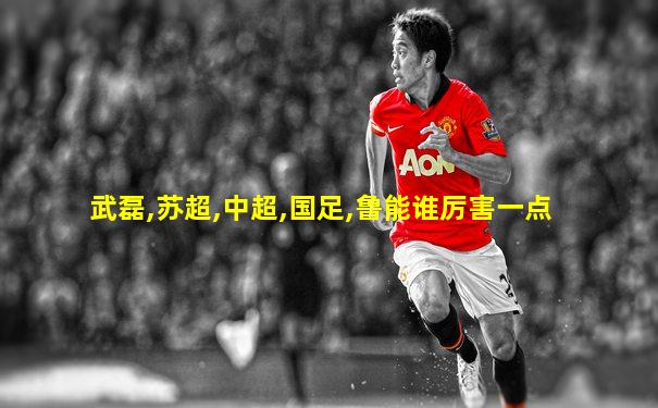武磊,苏超,中超,国足,鲁能谁厉害一点