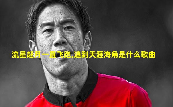 流星赶月一直飞跑,追到天涯海角是什么歌曲