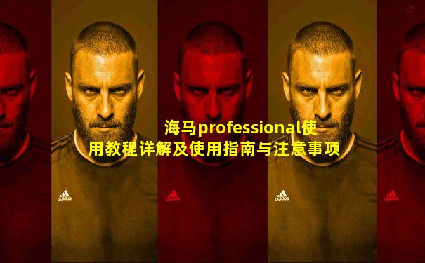 海马professional使用教程详解及使用指南与注意事项
