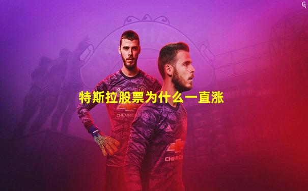 特斯拉股票为什么一直涨