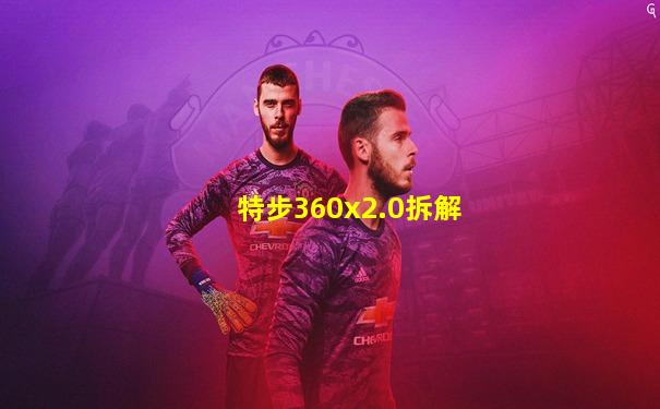 特步360x2.0拆解