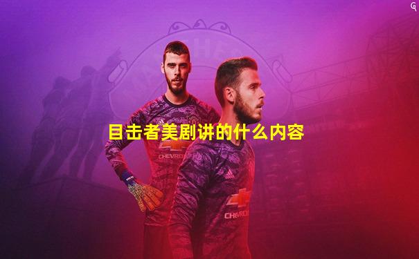 目击者美剧讲的什么内容