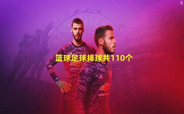 篮球足球排球共110个