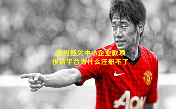 违约拖欠中小企业款项投诉平台为什么注册不了