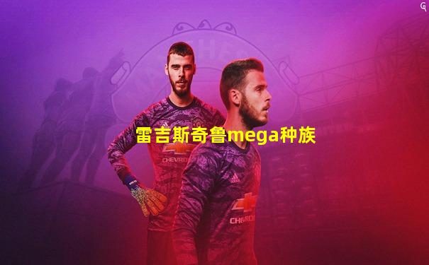 雷吉斯奇鲁mega种族