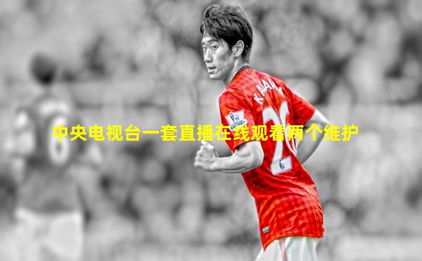 中央电视台一套直播在线观看两个维护