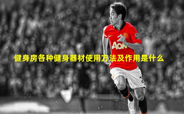 健身房各种健身器材使用方法及作用是什么