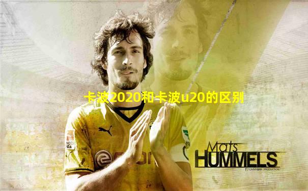 卡波2020和卡波u20的区别