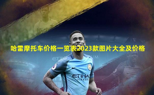 哈雷摩托车价格一览表2023款图片大全及价格