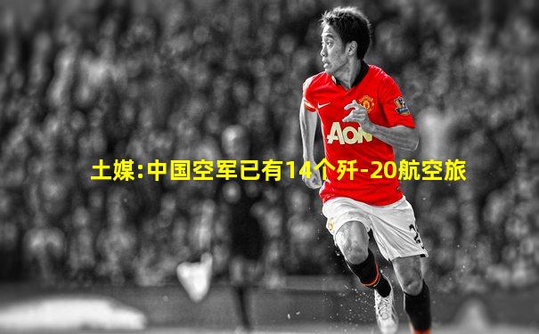 土媒:中国空军已有14个歼-20航空旅