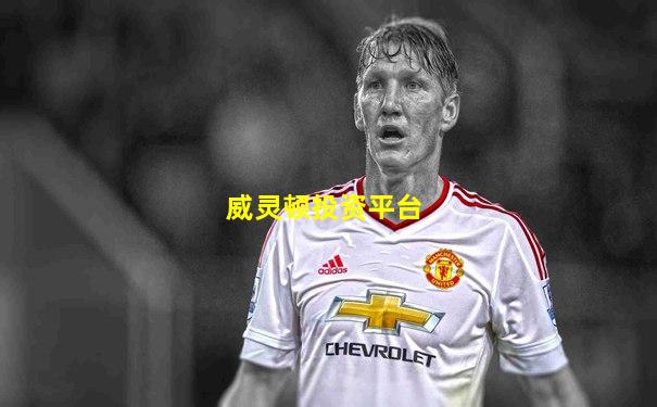 威灵顿投资平台