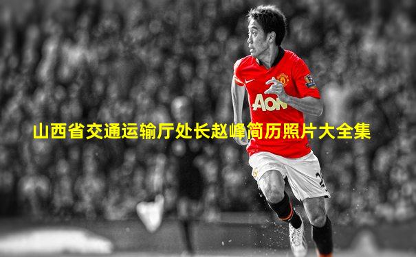山西省交通运输厅处长赵峰简历照片大全集