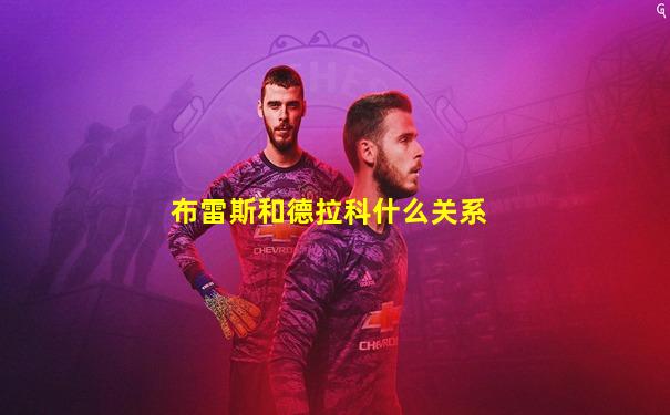 布雷斯和德拉科什么关系