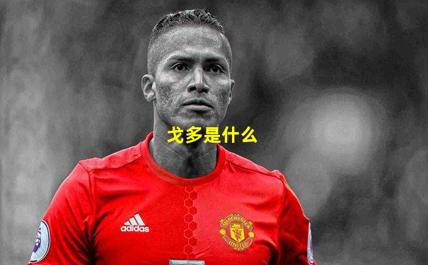 戈多是什么