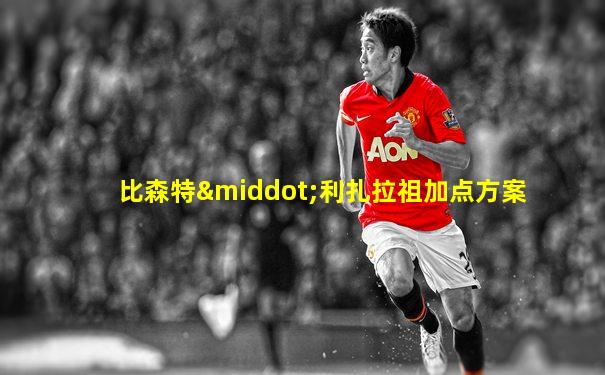 比森特·利扎拉祖加点方案