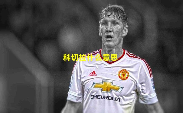科切拉什么意思