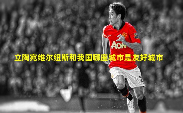 立陶宛维尔纽斯和我国哪座城市是友好城市
