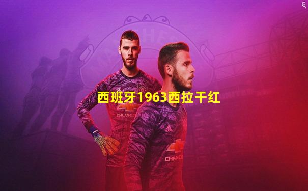 西班牙1963西拉干红