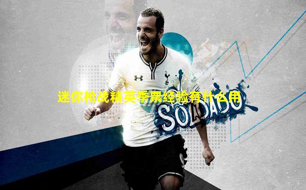 迷你枪战精英季票经验有什么用
