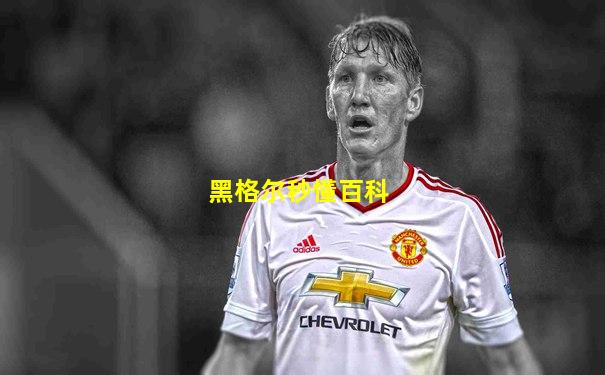 黑格尔秒懂百科